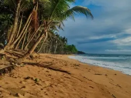 Locais: Praia Jalé