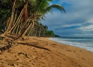 Locais: Praia Jalé