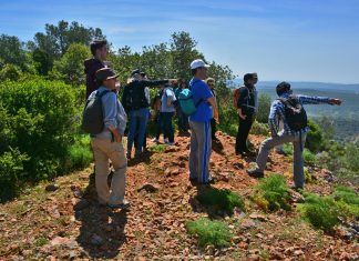Fim-de-Semana a Caminhar no Algarve
