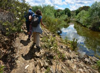 Walking Festival Ameixial
