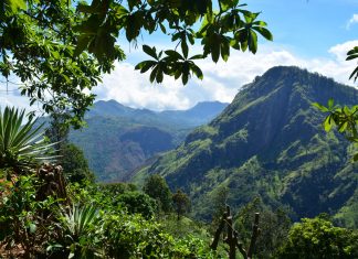 Ásia 2017 – Dia 18 – Ella