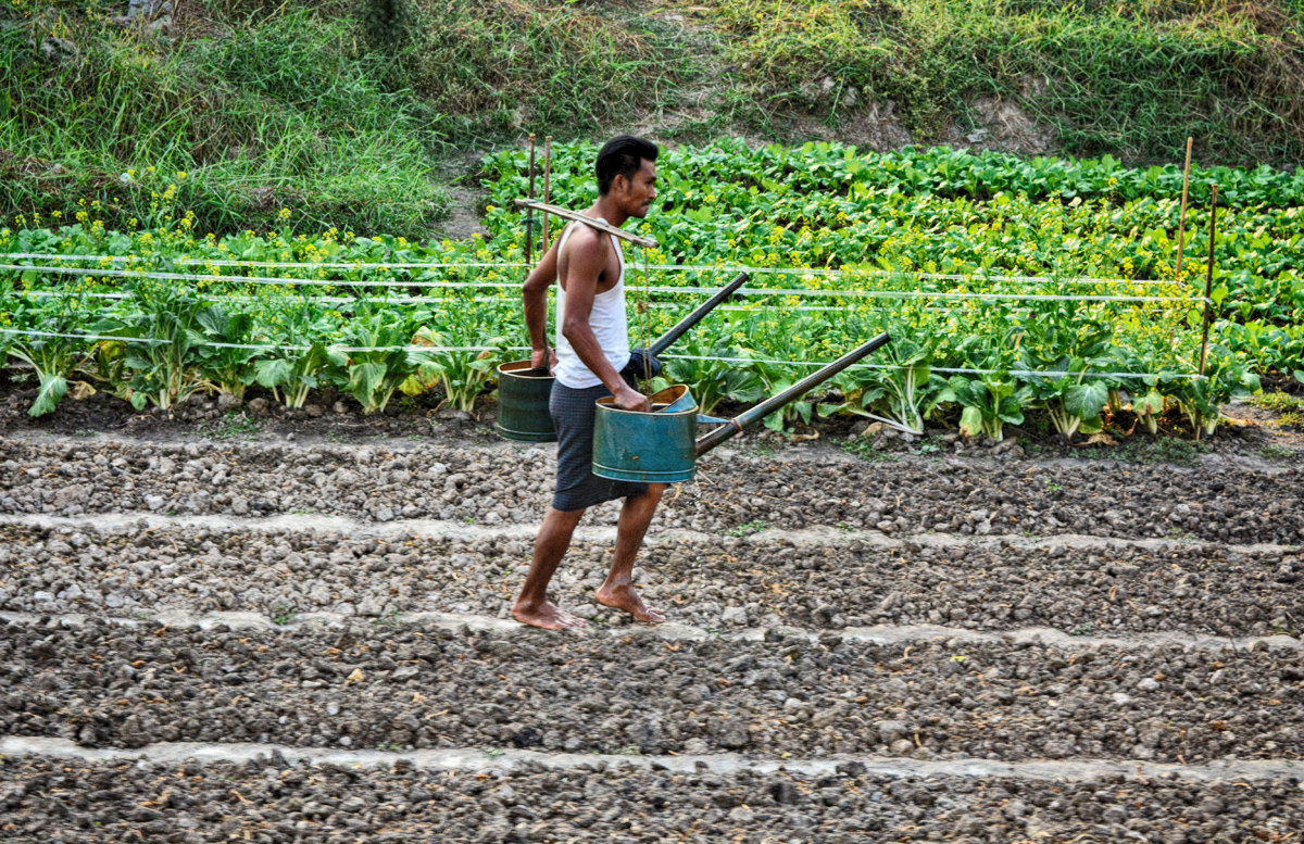 dia33-rangoon-bagan-04