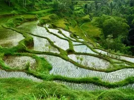Locais: Tetebatu