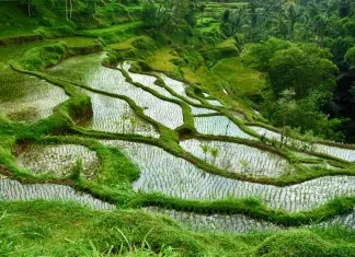 Locais: Tetebatu