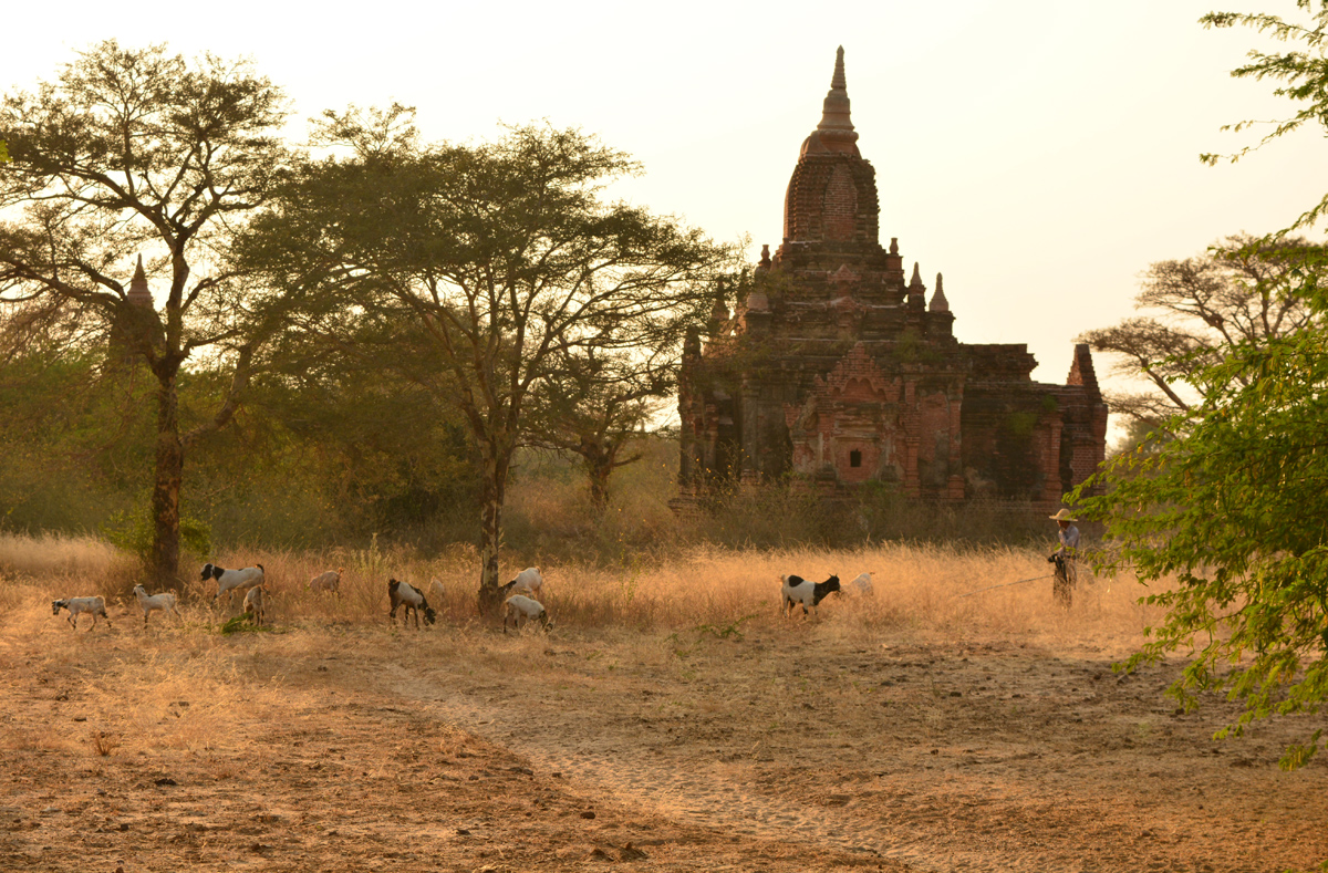 dia35-bagan-10