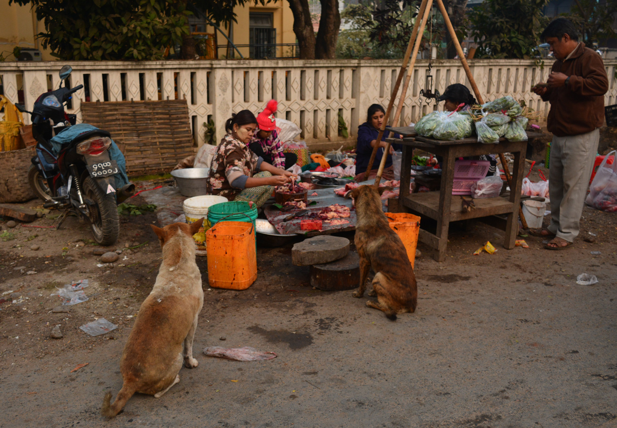 dia40-hsipaw-02