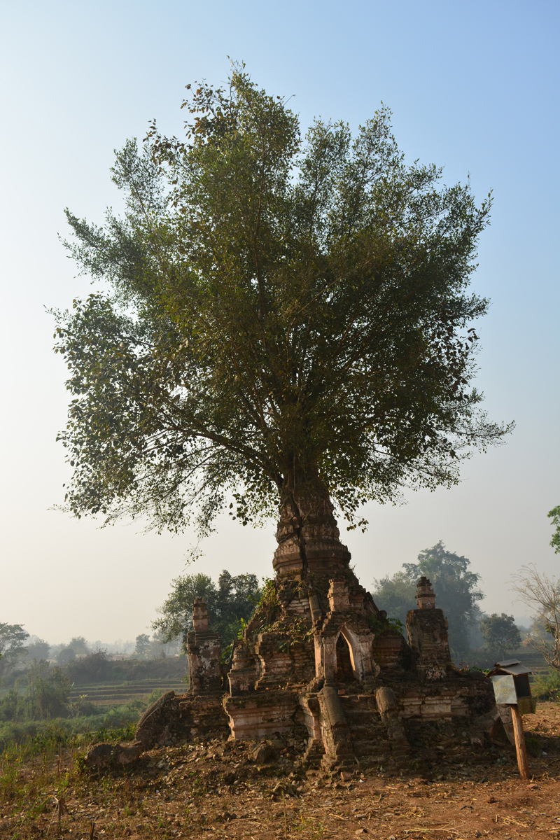 dia40-hsipaw-13