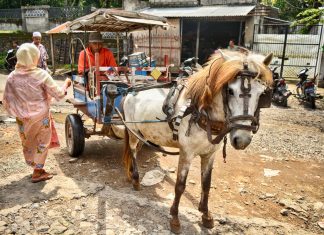 Ásia 2017 – Dia 61 – Lombok (Tetebatu)