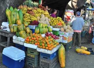 América Latina 2016 – Dia 20 – Léon