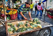 América Latina 2016 – Dia 26 – Santa Ana