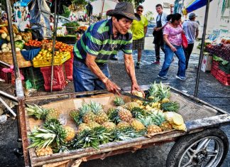 América Latina 2016 – Dia 26 – Santa Ana