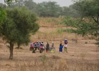 África 2017 – Dia 18 – Dakar