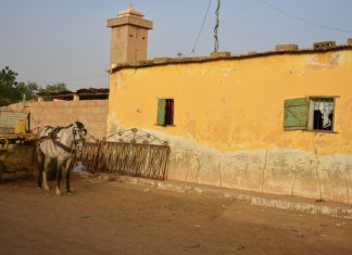 África 2017 – Dia 27 – Podor