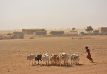 África 2017 – Dia 29 – Saint Louis