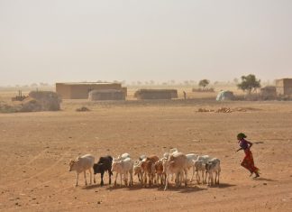 África 2017 – Dia 29 – Saint Louis