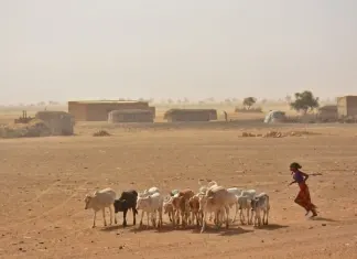 África 2017 – Dia 29 – Saint Louis
