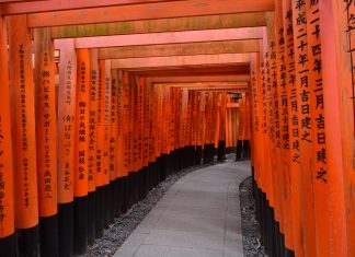 Fotoexposição: Japão