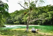 América Latina 2016 – Dia 41 – De Flores até ao Belize