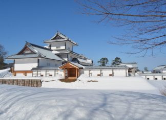11 Factos Curiosos sobre o Japão
