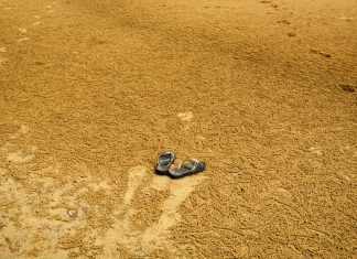 Estas são as Minhas Havaianas