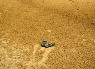 Estas são as Minhas Havaianas