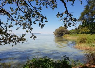 Etiópia. Dia 5. Bahr Dar.