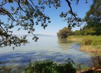 Etiópia. Dia 5. Bahr Dar.
