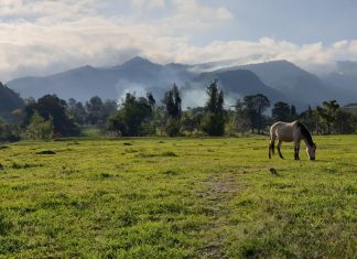 América do Sul, Dia 9 – Jardin