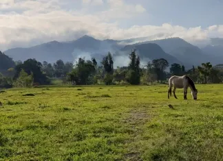 América do Sul, Dia 9 – Jardin