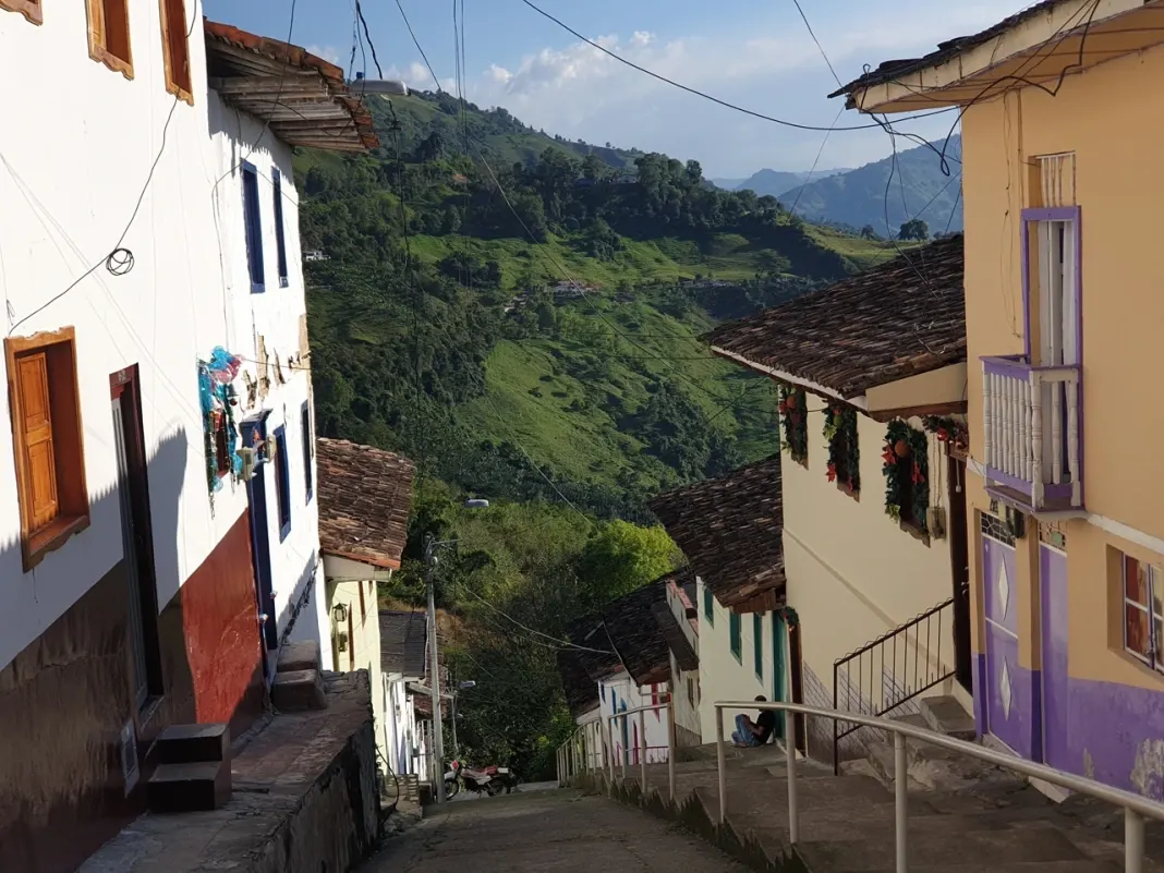 dia10-jardinasalamina-14