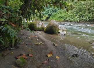 América do Sul, Dia 20 – De Quito para Mindo
