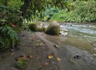 América do Sul, Dia 20 – De Quito para Mindo