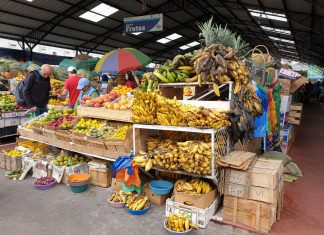 América do Sul, Dia 22 – De Mindo para Riobamba