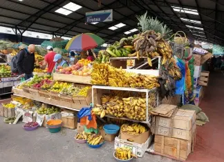 América do Sul, Dia 22 – De Mindo para Riobamba