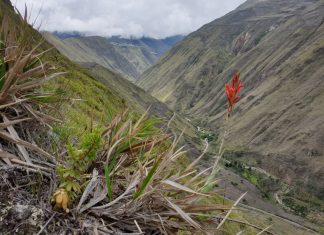 América do Sul, Dia 24 – Riobamba para Alausi