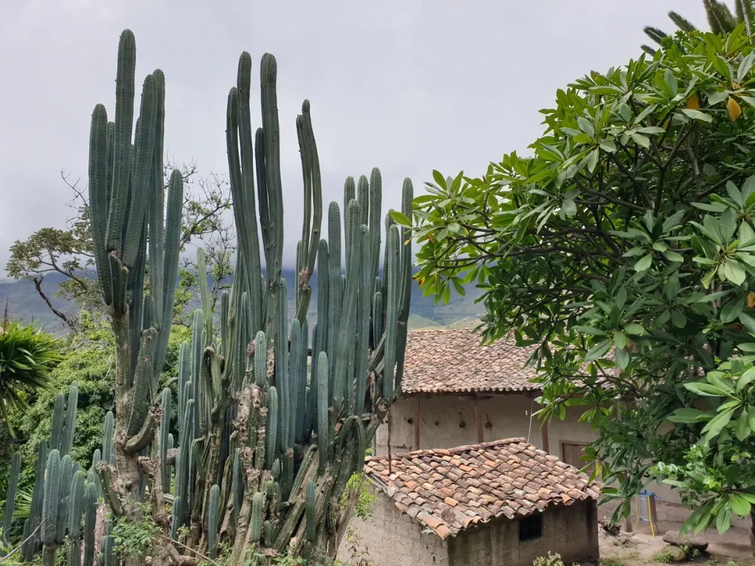 dia30-gonzabal-loja-zamora-03