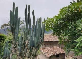 América do Sul, Dia 30 – Gonzabal