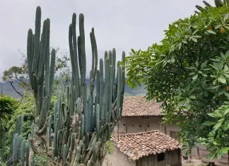 América do Sul, Dia 30 – Gonzabal