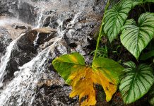 América do Sul, Dia 31 – Zamora