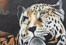 América do Sul, Dias 32 a 36 – Zamora