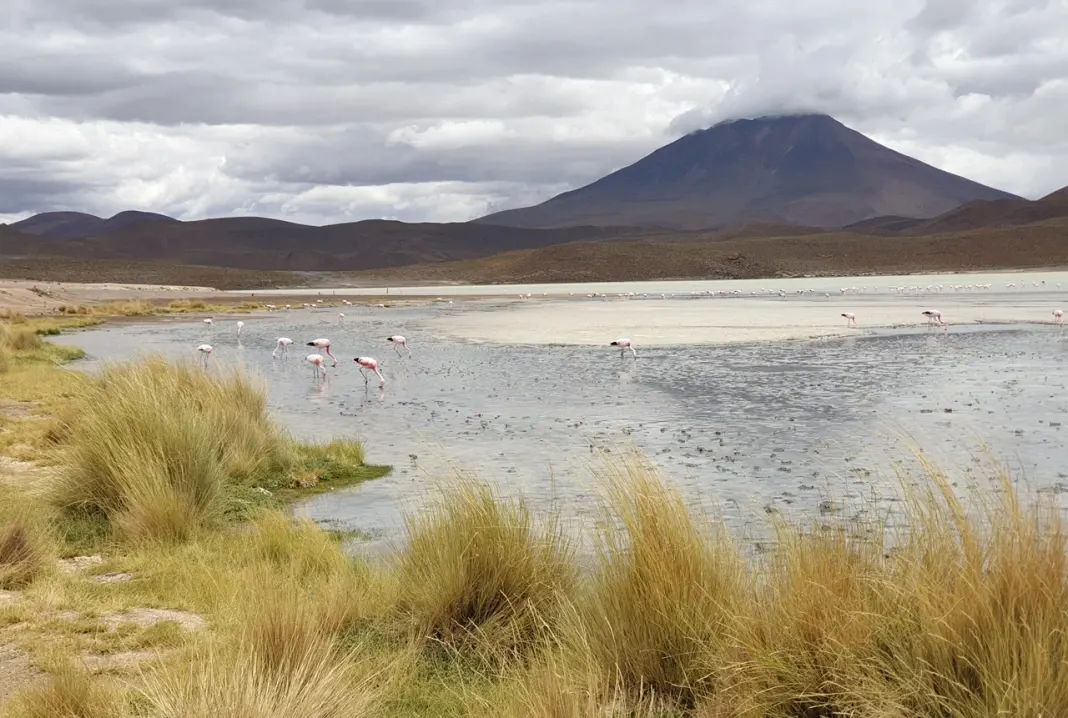 dia54-uyuni-03