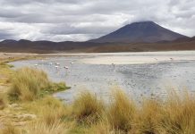 América do Sul, Dia 54 – Uyuni