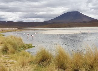 América do Sul, Dia 54 – Uyuni