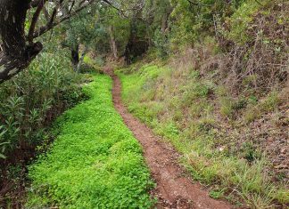 PR 13 LLE – Serra e Montes