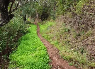 PR 13 LLE – Serra e Montes
