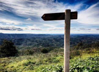 PR 6 LLE – Pé do Coelho