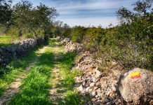 PR 11 LLE – Amendoeira