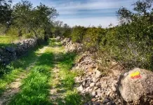 PR 11 LLE – Amendoeira