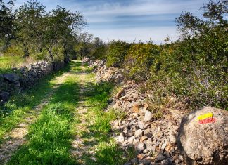 PR 11 LLE – Amendoeira