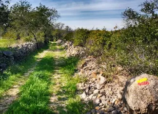 PR 11 LLE – Amendoeira